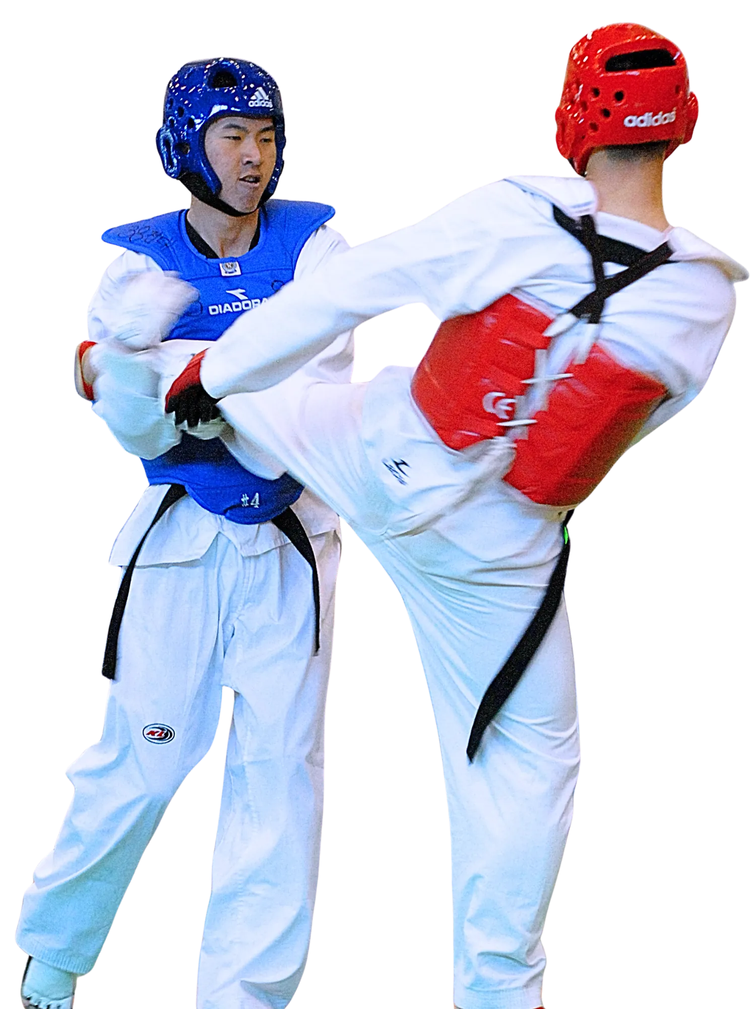 Adult Taekwondo (13+) class